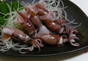 ホタルイカ